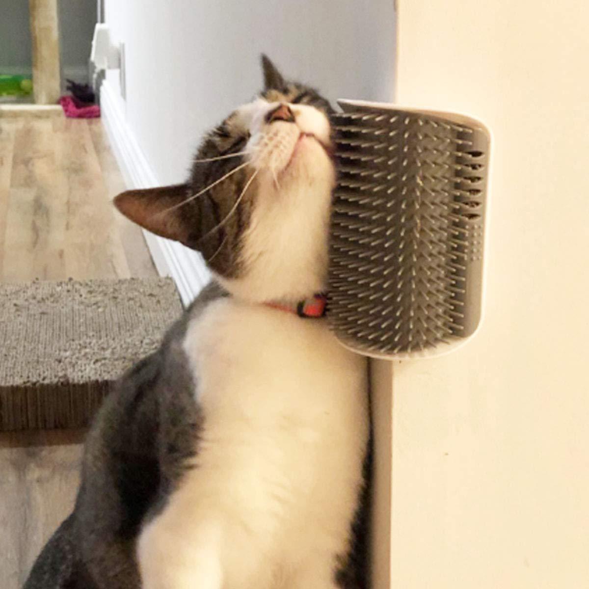 Wall Corner Brush for Cats