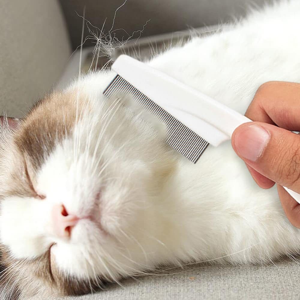 Pet Comb